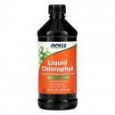 liq chlorophyll & mint 16 oz 